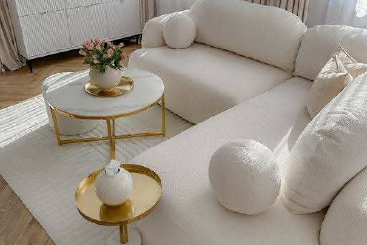 WhatsApp Image 2025-08-26 at 3.18.15 PM (2)